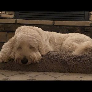 Meet your Posher, Carrie